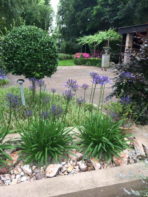 Agapanthus Bed And Breakfast Hoogkarspel Exterior photo