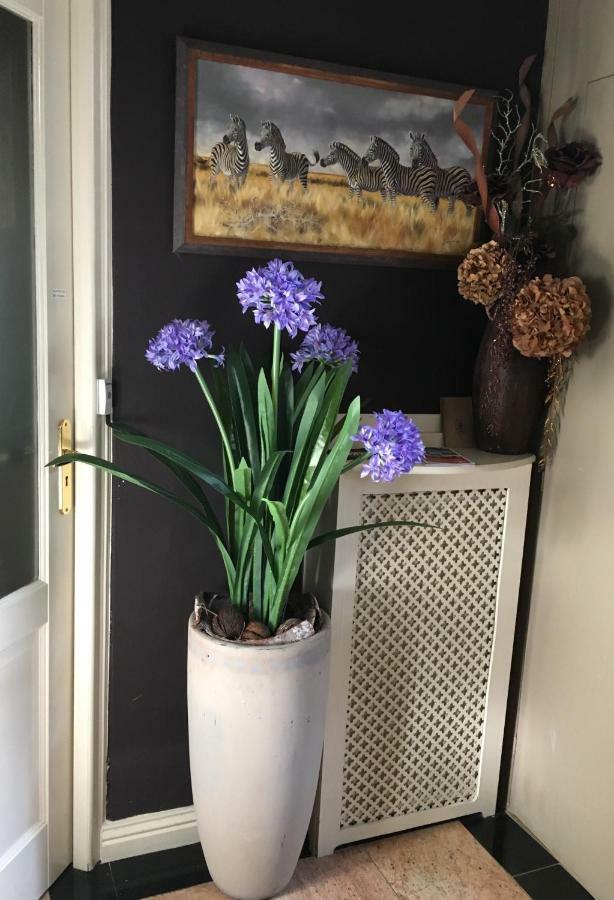 Agapanthus Bed And Breakfast Hoogkarspel Exterior photo